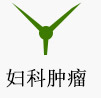 妇科肿瘤