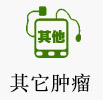其他肿瘤