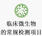 临床微生物