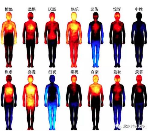 【情绪世界】你压抑的情绪，正一步步侵蚀你的身体(图1)