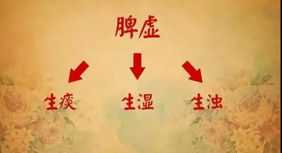 长肉先长肚