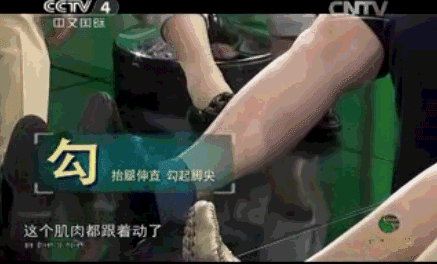 膝关节