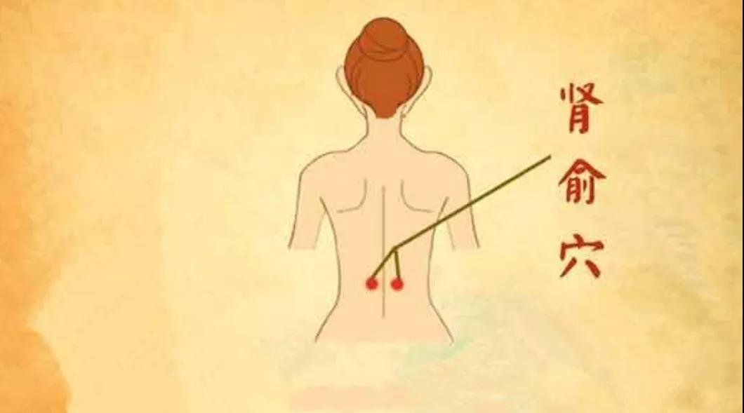 【健康】当肝、肾俱虚时,就会在腿上有所体现!(图6)