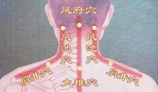 健康 | 家中这些小物件,用对了都是“养生神器”~(图4)