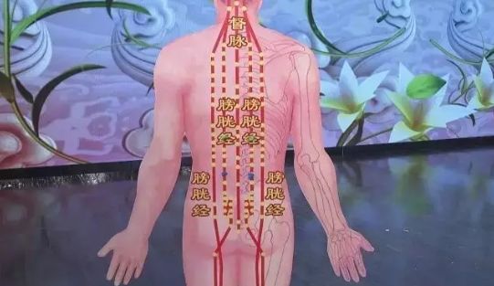 健康 | 家中这些小物件,用对了都是“养生神器”~(图5)