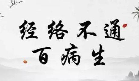 肿瘤的罪魁祸首:经络窍道淤堵(图1)