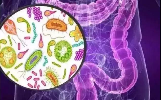 190万人数据证实:吃酸奶能防癌,特别爱吃肉的人更...(图2)