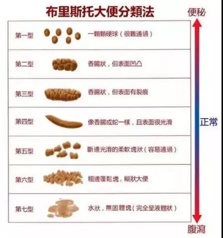 【揭秘】大便变细就是得了肠肿瘤?医生说:不一定,还有....(图2)