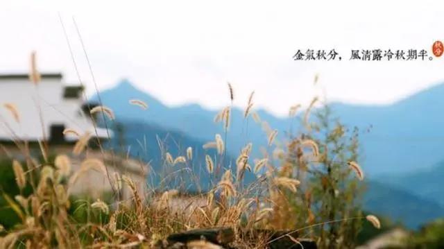 微信图片_20210923163849.jpg