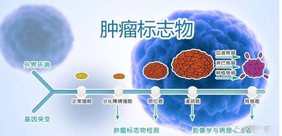 微信图片_20220407141757.jpg