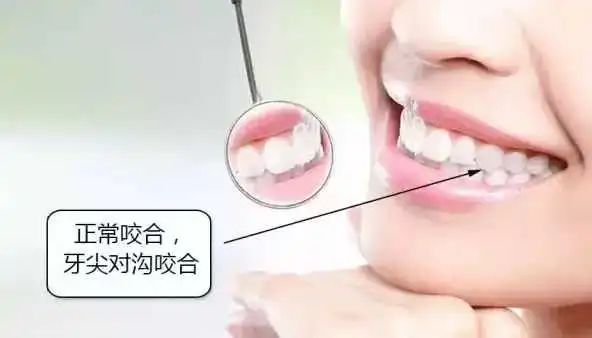 微信图片_20220411134559.jpg