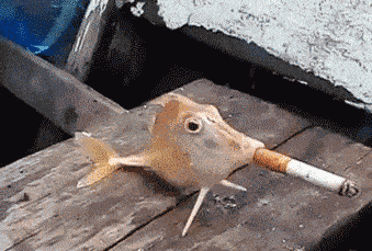 微信图片_20220516085706.gif