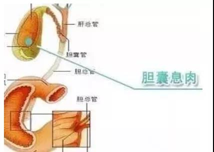 微信图片_20210917155729.jpg