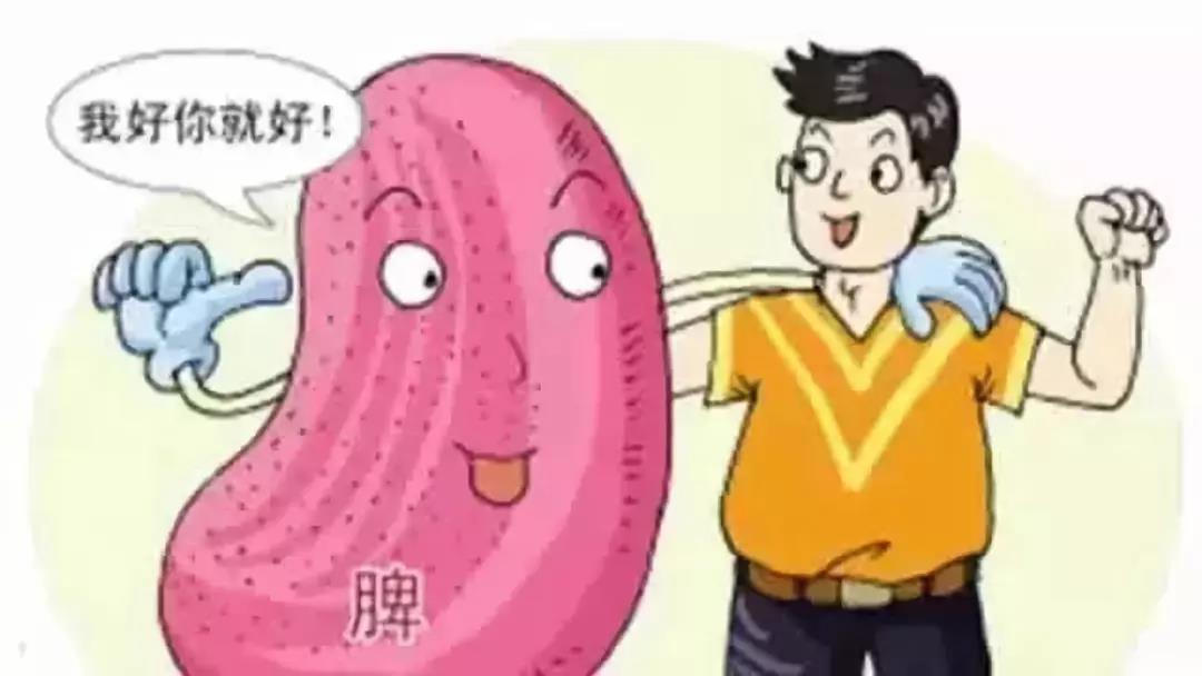 提醒 | 肝怕堵、心怕累、肾怕....看看你的五脏有多累(图4)