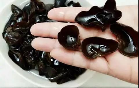 【防瘤抗瘤】木耳被称为“血管清道夫”,常吃排毒抗...(图7)