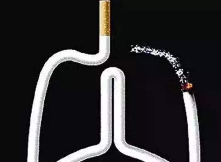心怕盐、胃怕多、脾怕寒....医生告诉你!你的器官最怕什么(图2)