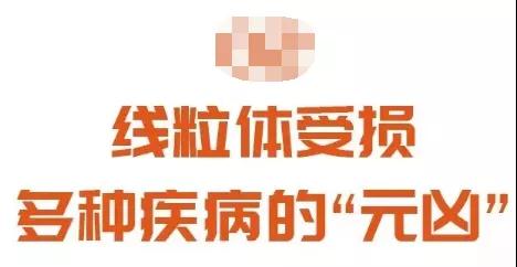 为什么年龄越大，疾病越多?越容易患癌?是身体里缺少了营养(图2)