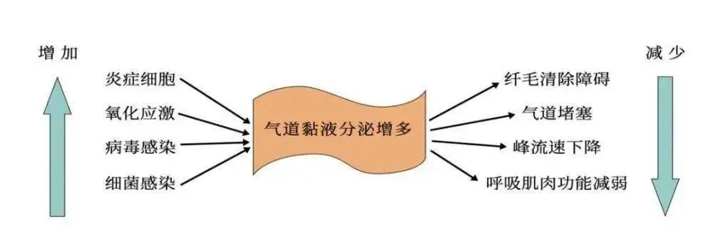 微信图片_20230106094734.jpg
