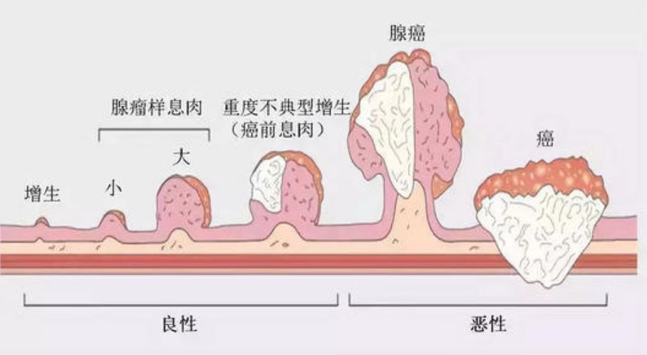 微信图片_20230220091538.jpg