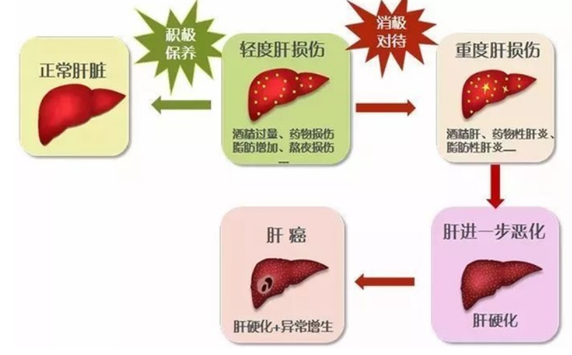 微信图片_20230404084834.png