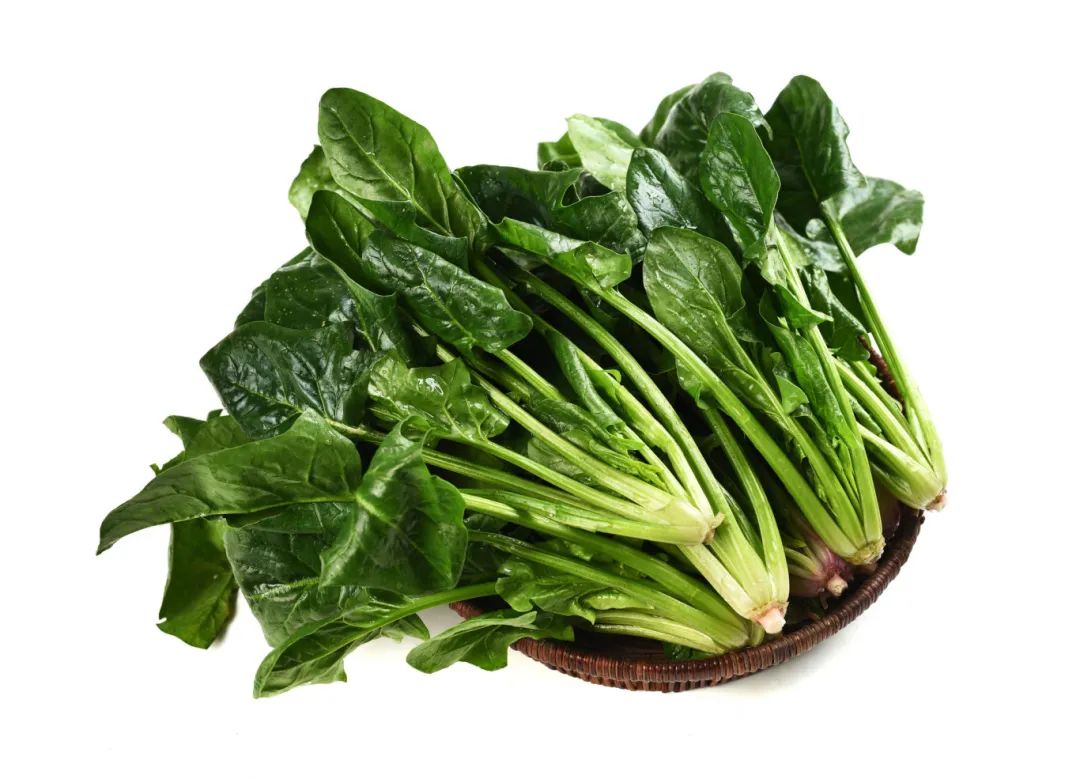 摄图网_501137504_菠菜(企业商用).jpg