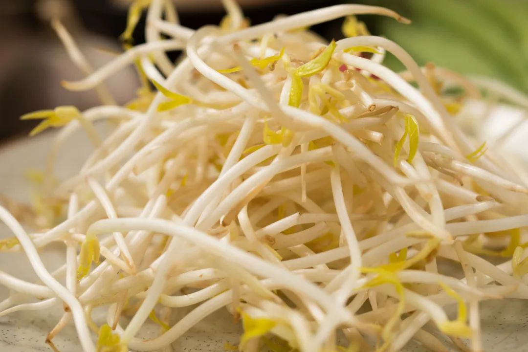 摄图网_501172397_新鲜绿豆芽(企业商用).jpg